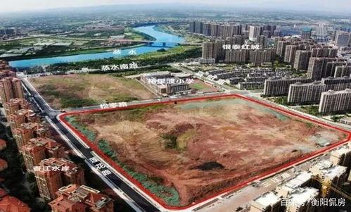 衡阳最新爆料,揭秘背后惊人真相！